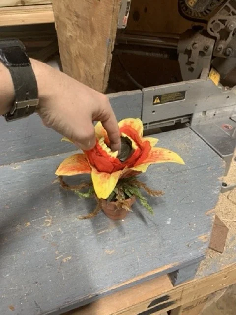 IMG_4570 Medium.jpeg