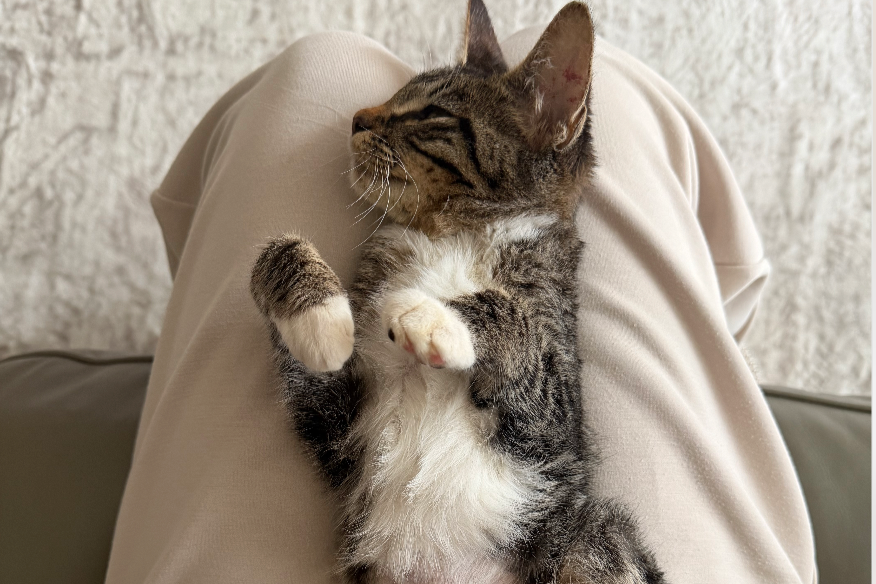 Lighting the Way Into a New Year