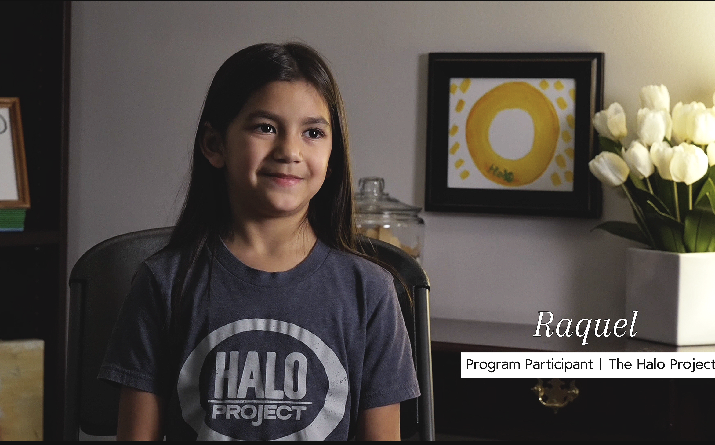 The Halo Project