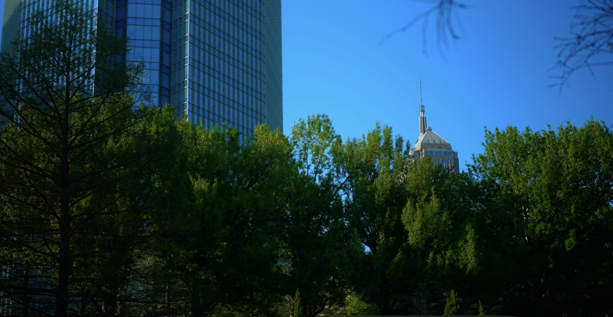 Oklahoma Myriad Garden