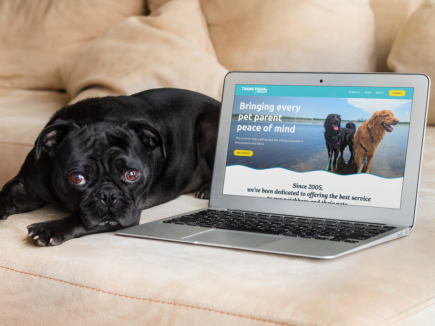 These Paws Mockup Desktop.png