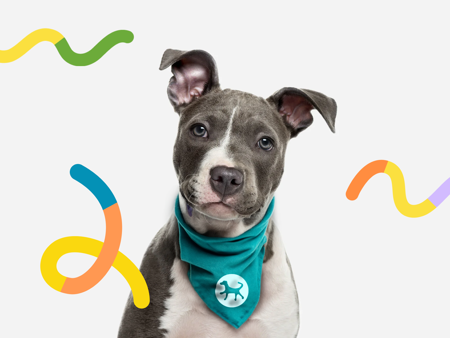 These Paws Mockup Bandana.png