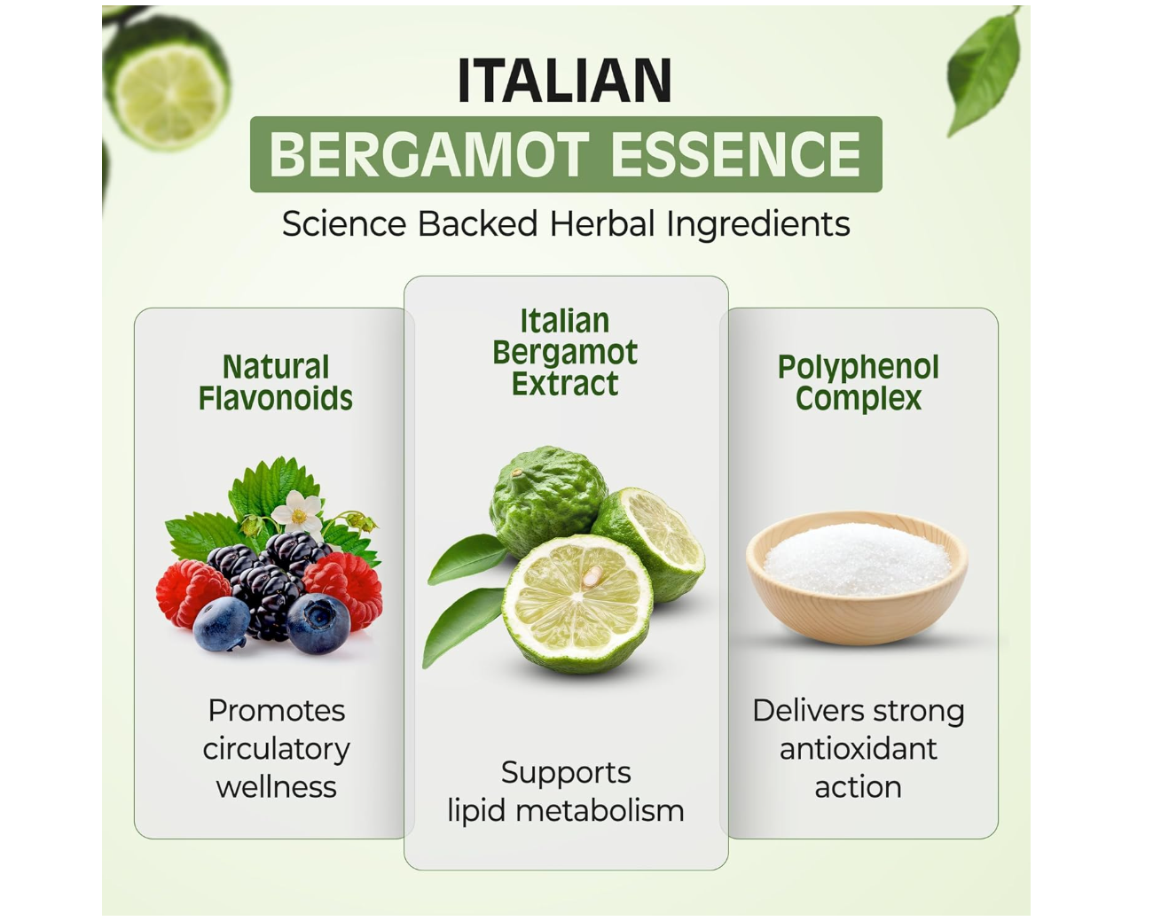 bergamot 3.png