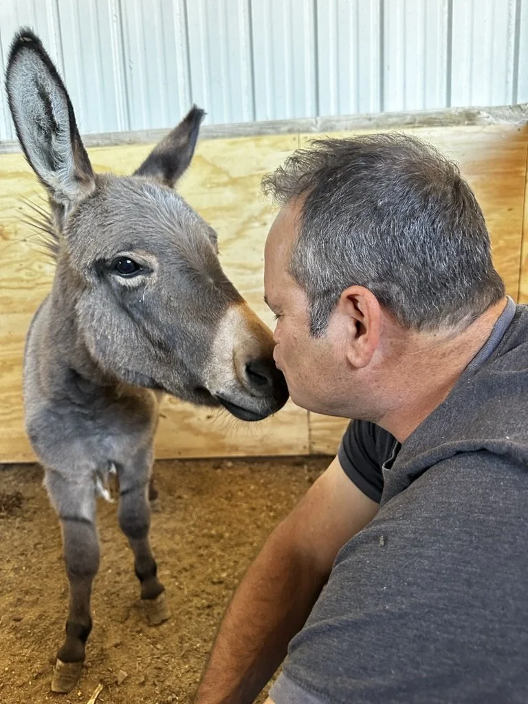 Small Animals Help Give Children Big Results