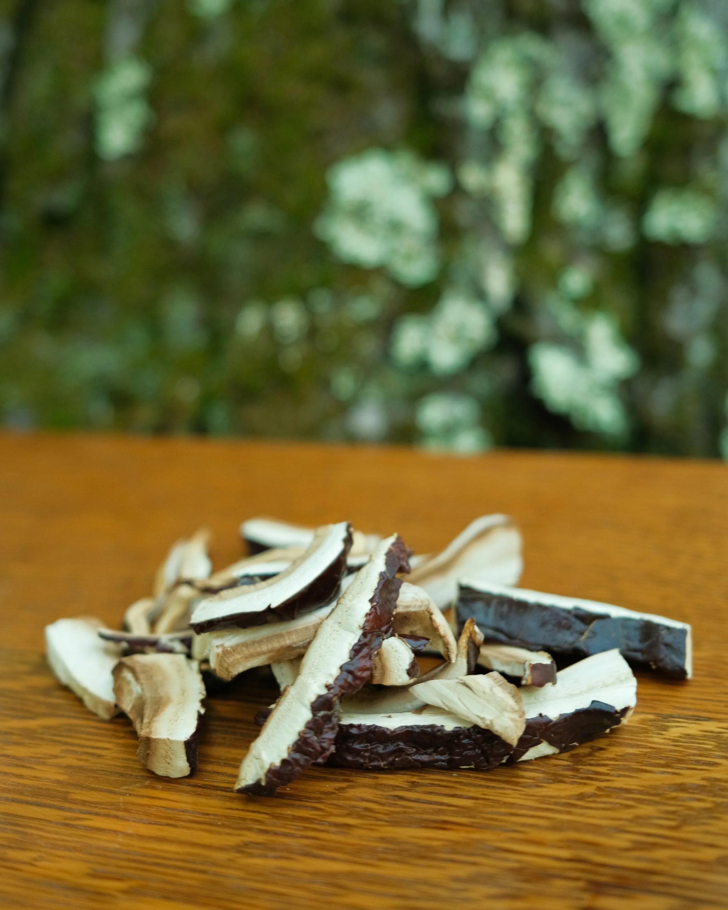 DSCF8541.jpg