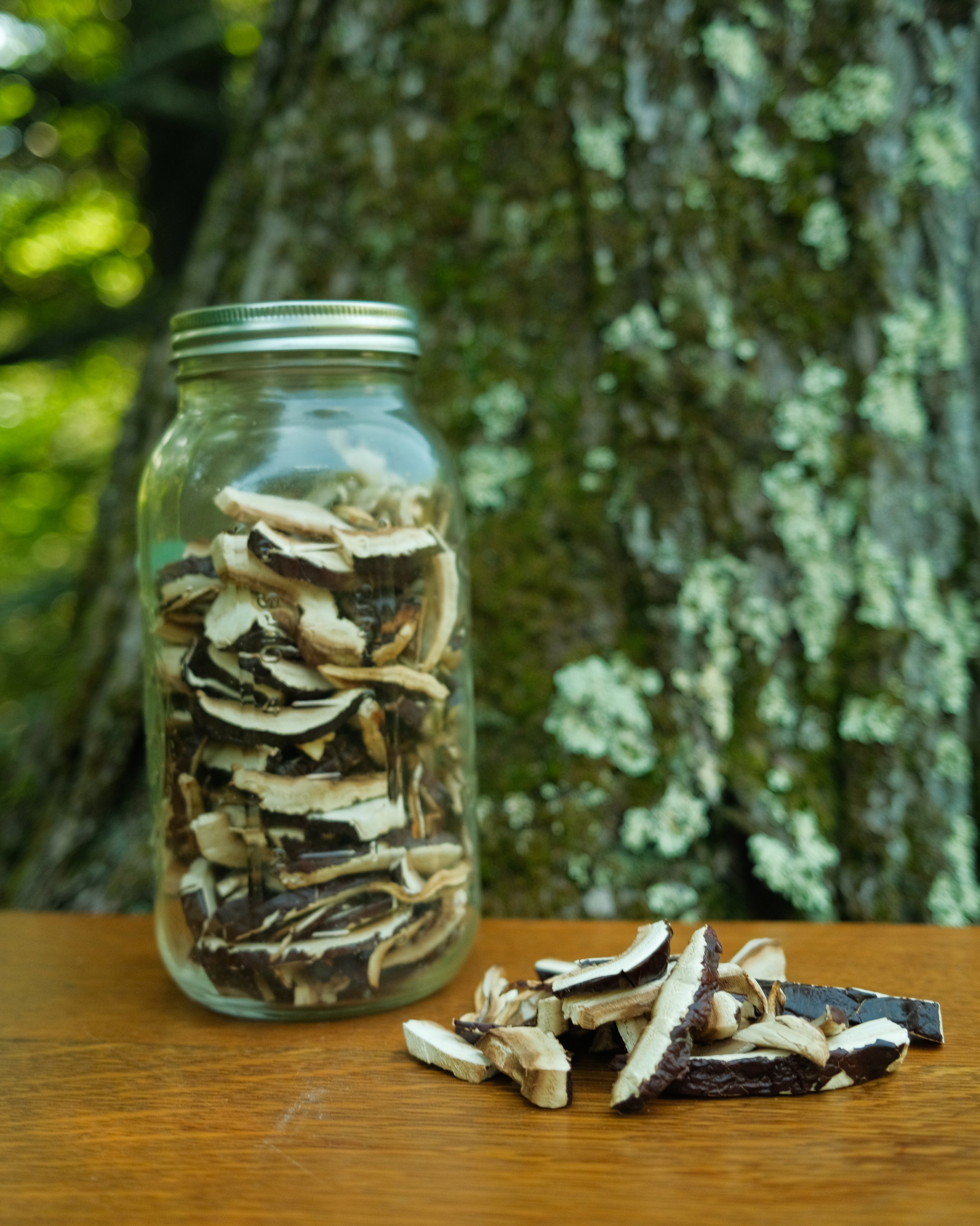 DSCF8558.jpg