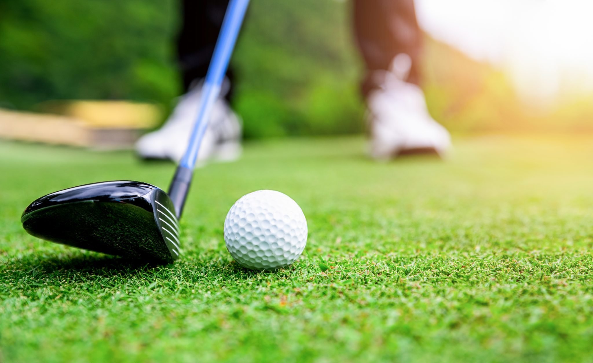 Single Golfer