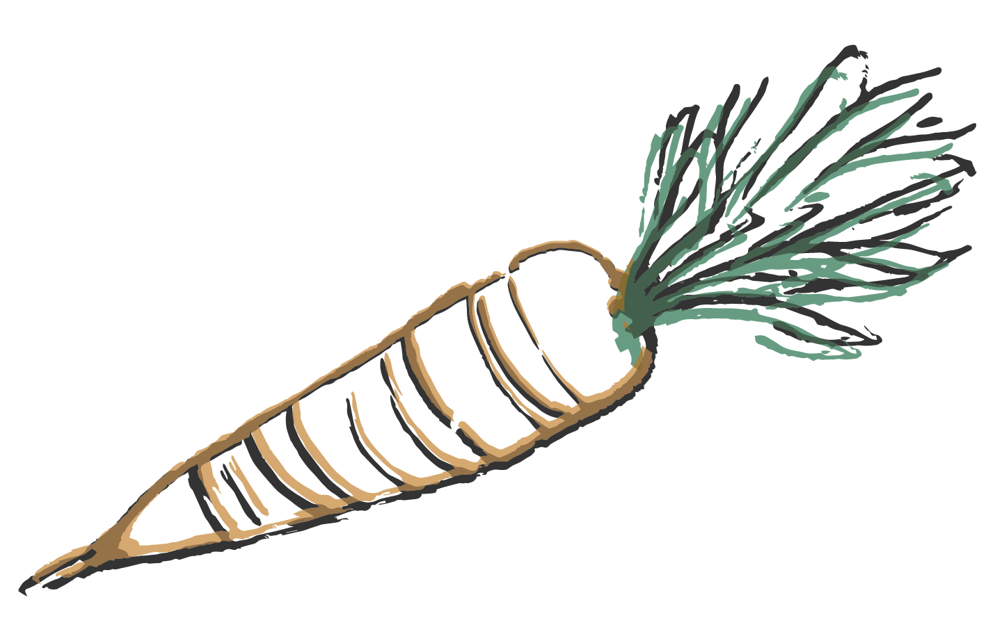 Hand-drawn illustration of a carrot with green leafy top and orange root on a black background.