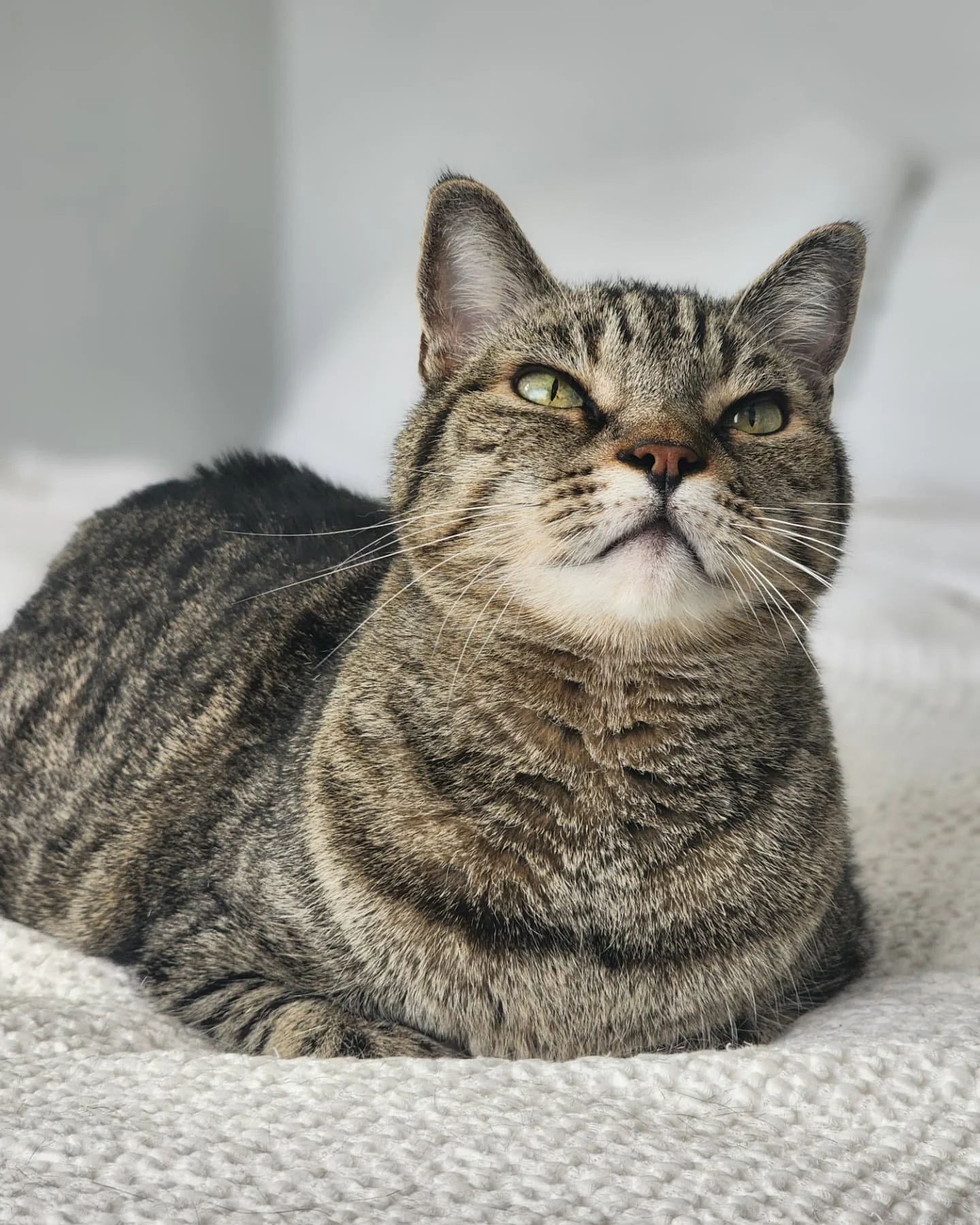 Happy October everyone!!! 🍂🍁👻

This is just a reminder that I will be on break from October 14th-31st. However, I will still be responding to requests for future bookings during that time. 

I still have plenty of spots open for Thanksgiving and C