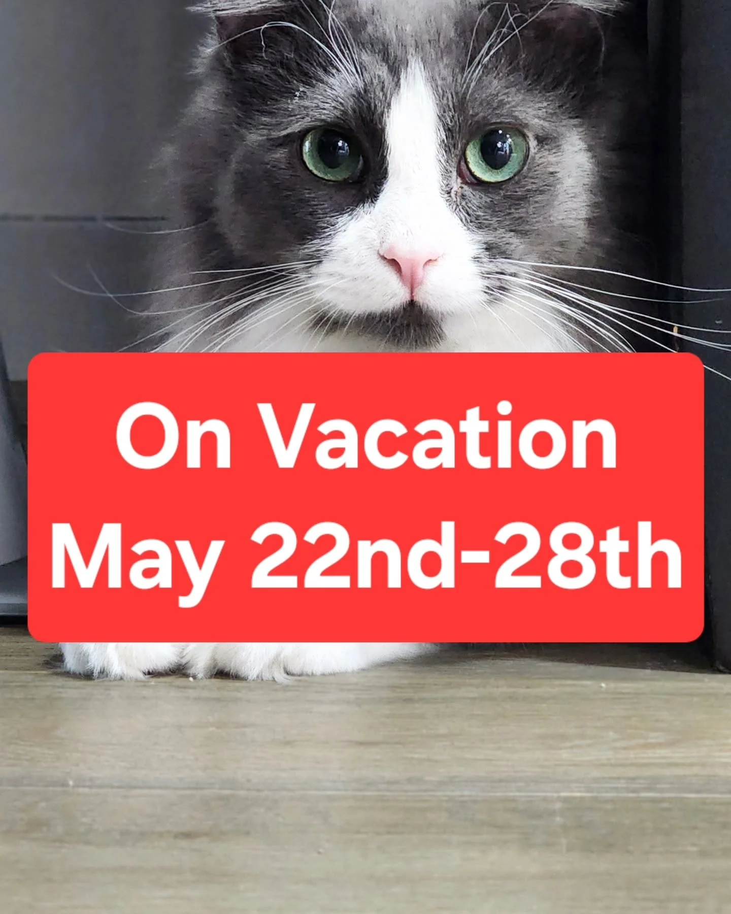 Hello everyone! This is just a reminder to all of my regular clients (and new!) that I will be on break from May 22nd-28th. However, I will be accepting incoming requests for future dates. Please inquire with me via Rover or TimetoPet if upcoming dat