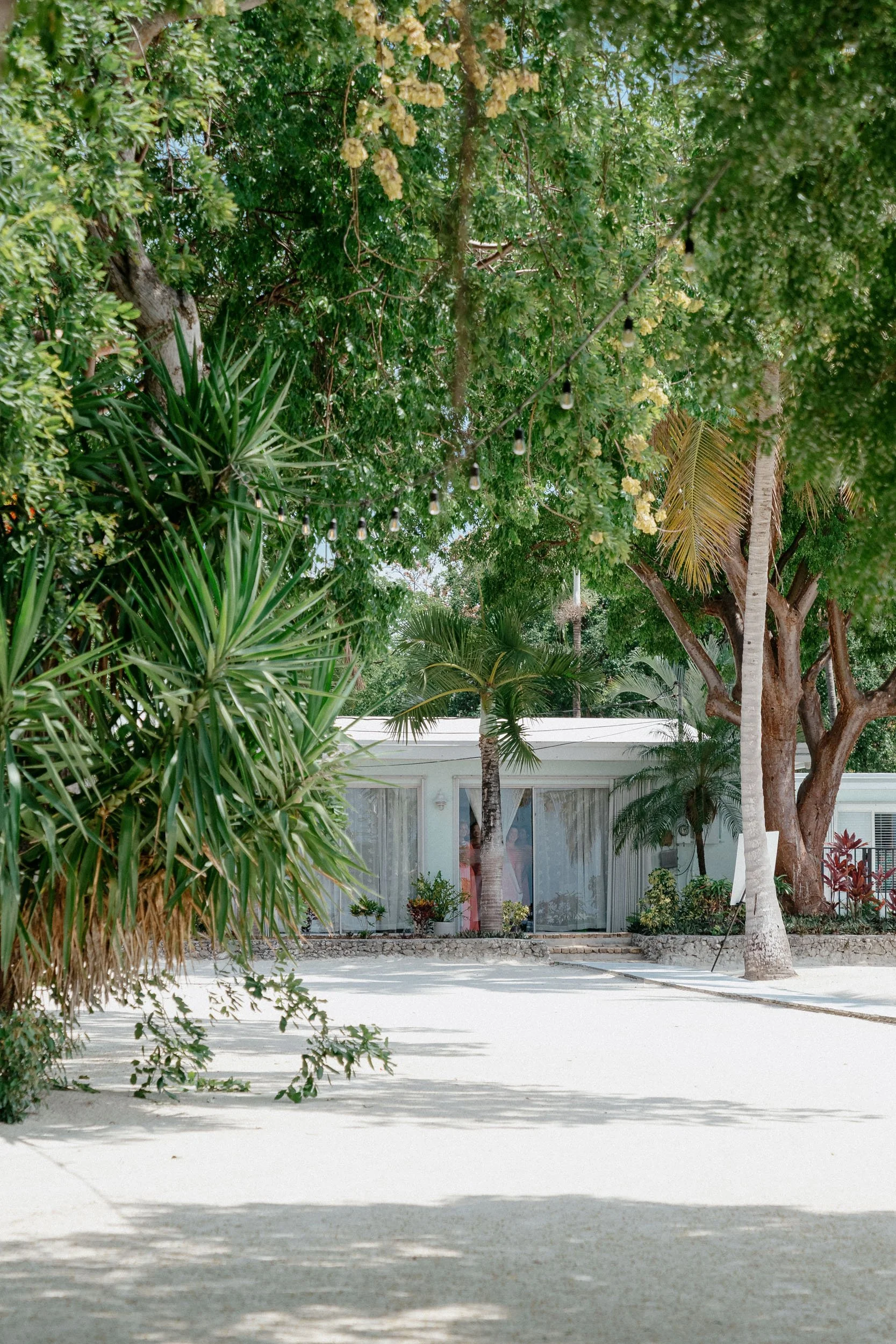 A tropical scene with lush green trees, including palm trees, and a white building with large glass windows in the background. String lights hang across the scene, and the ground appears to be covered in white sand or gravel.