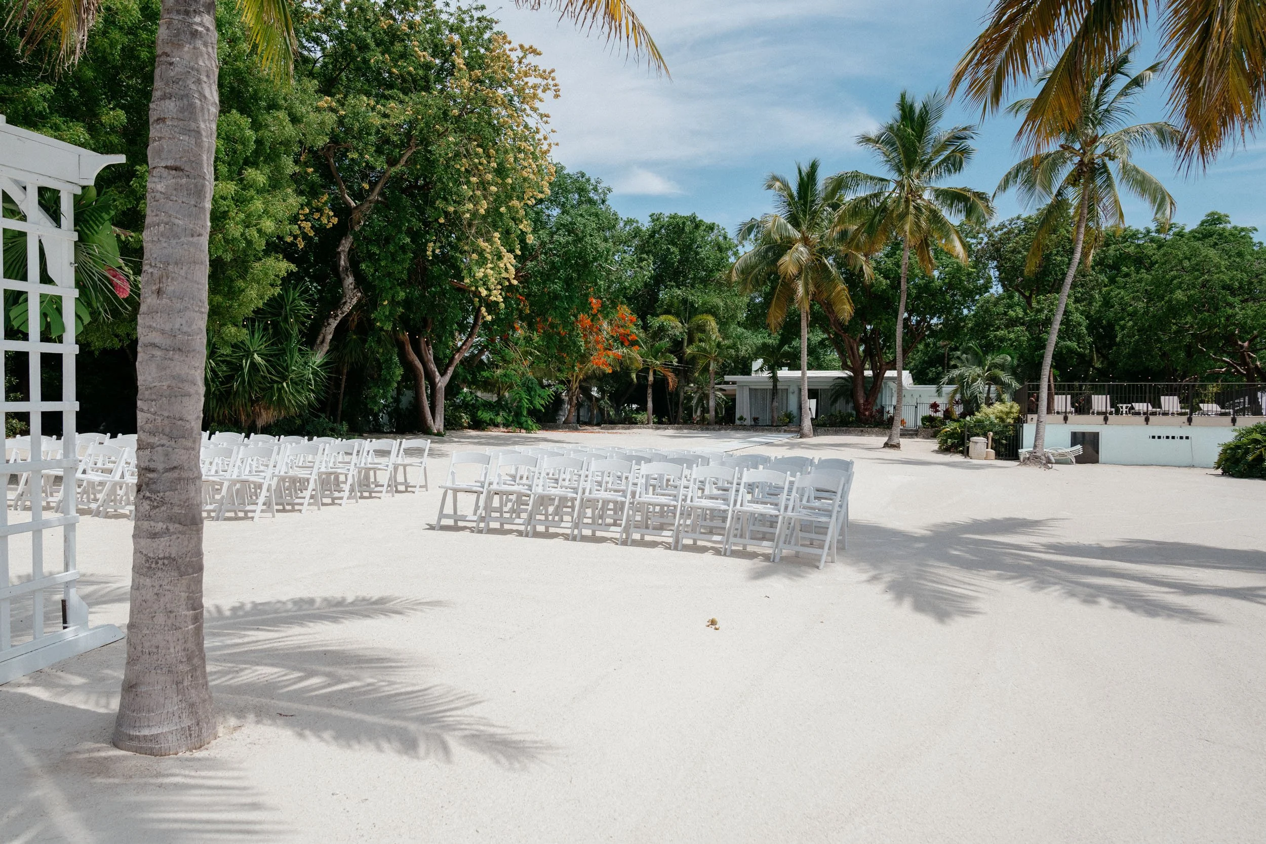 A beach scene with white sand, white chairs arranged in rows, and palm trees with green foliage under a blue sky.