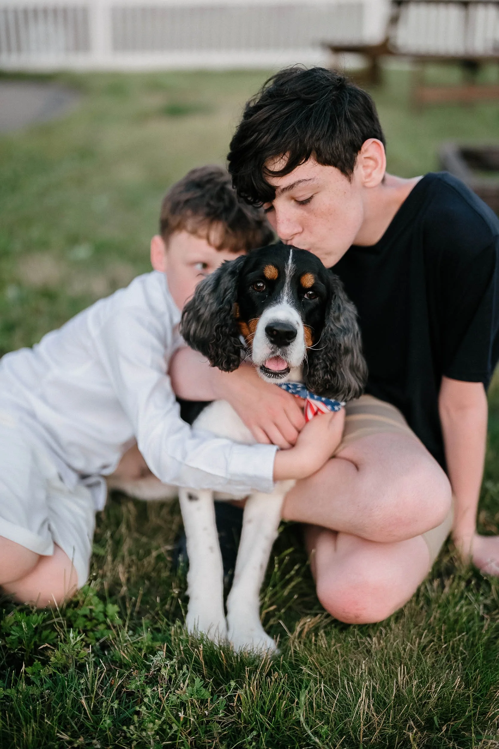 Two young boys sitting on grass and hugging a black, white, and brown English Springer Spaniel dog with a patriotic bandana around its neck.