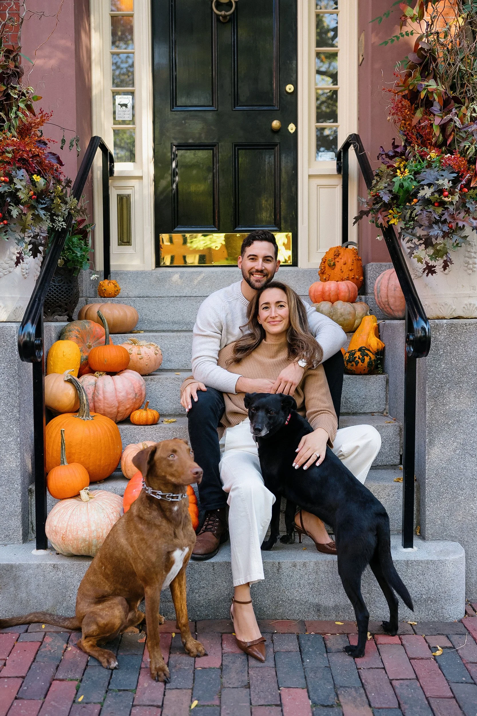A happy couple sitting on the steps of a house decorated with pumpkins, gourds, and fall flowers for autumn or Halloween, with two dogs in front.