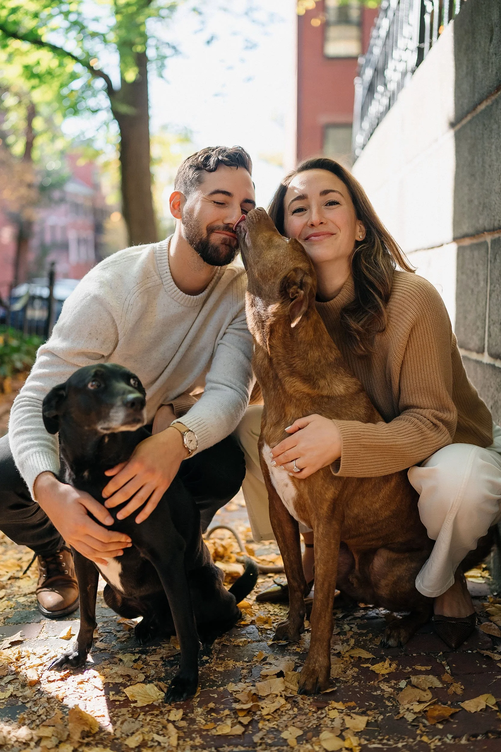 A couple is outside on a sunny fall day, posing with their two dogs. The man is holding a black dog, and the woman is hugging a brown dog. They are close together, smiling and enjoying the moment, with autumn leaves on the ground.
