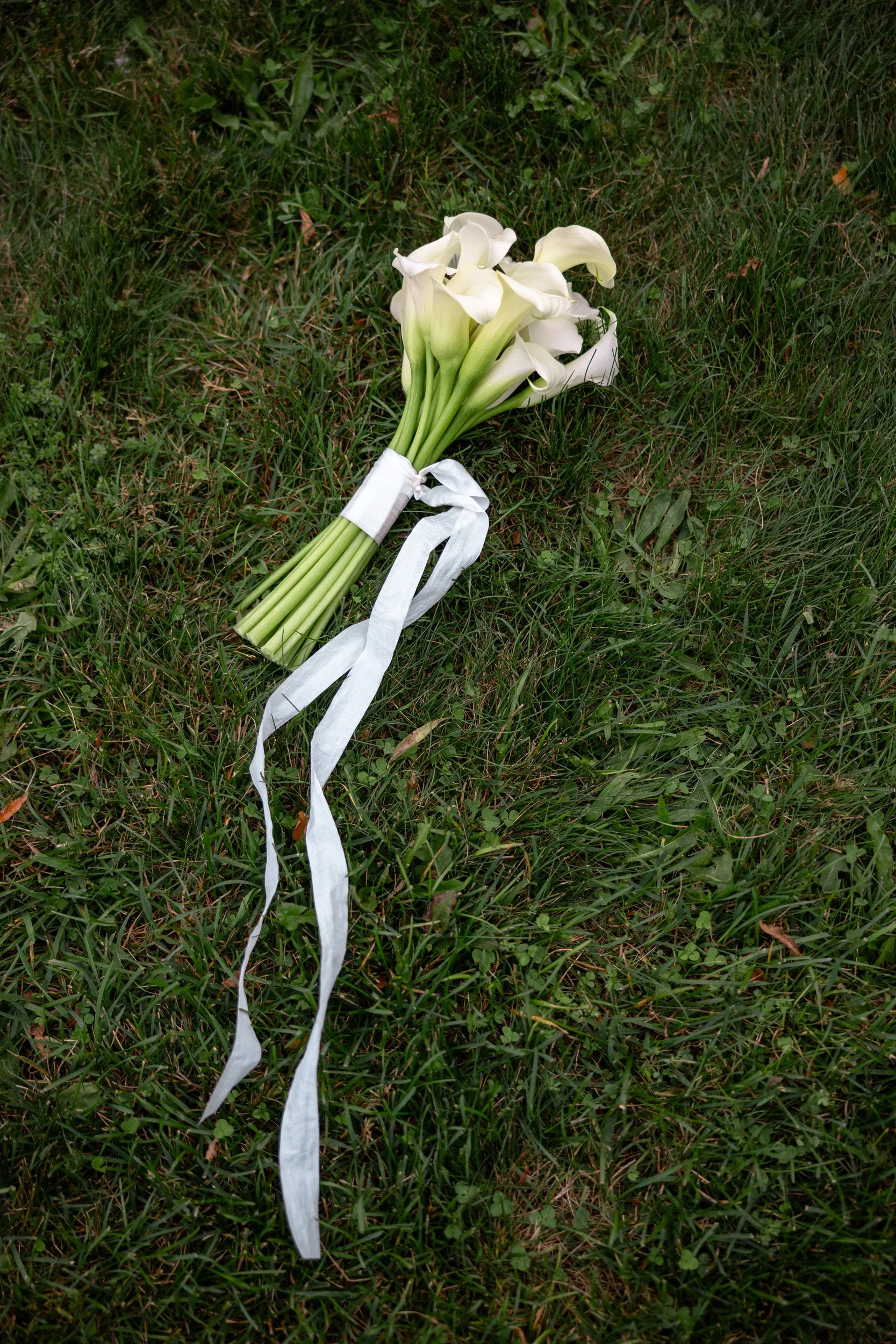 A bouquet of white calla lilies resting on green grass, tied with a white ribbon.