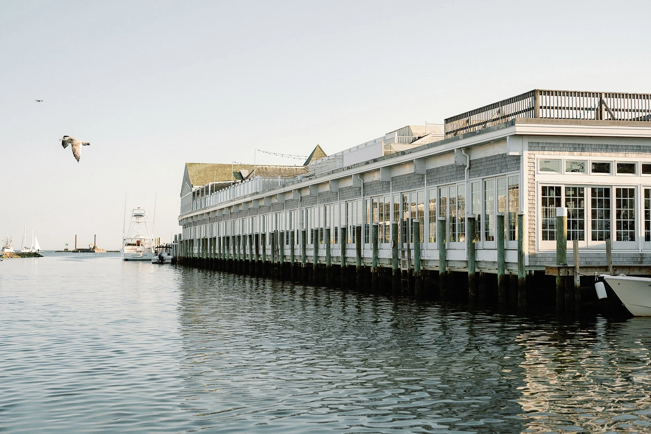 A waterfront building with large windows and a deck, next to a body of water with boats, a bird flying overhead, and a clear sky.
