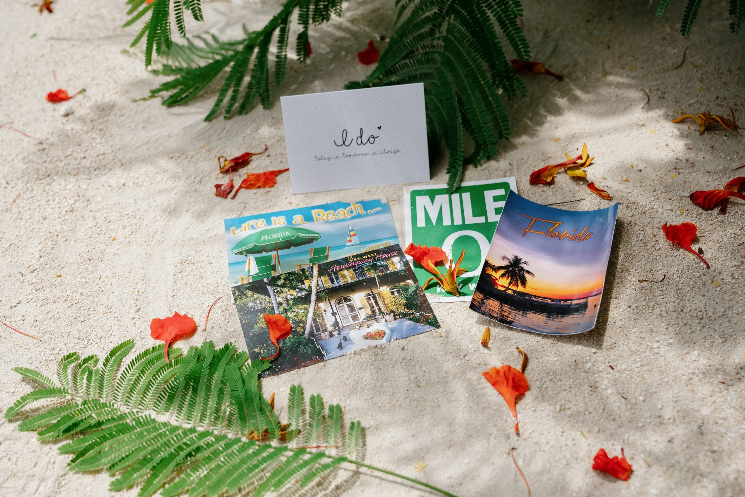 A collection of travel-themed postcards and a small white card with handwritten text on sandy ground, surrounded by green fern leaves and red flower petals.