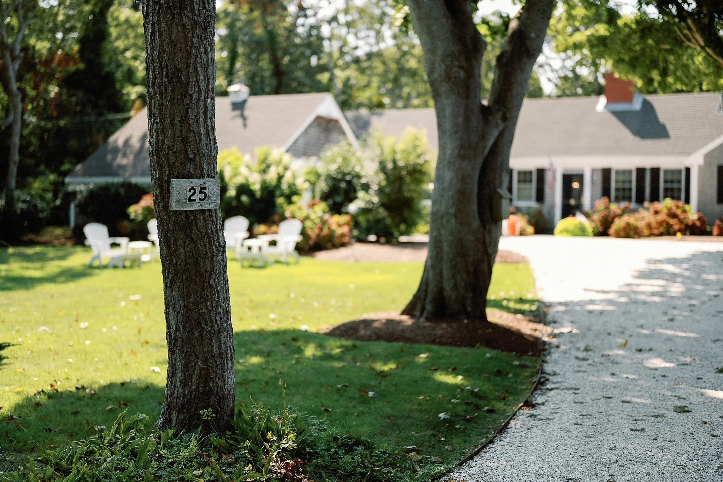 A residential yard with a gravel driveway, lush green grass, two large trees, and in the background, a house with a porch, windows, and flowering plants.