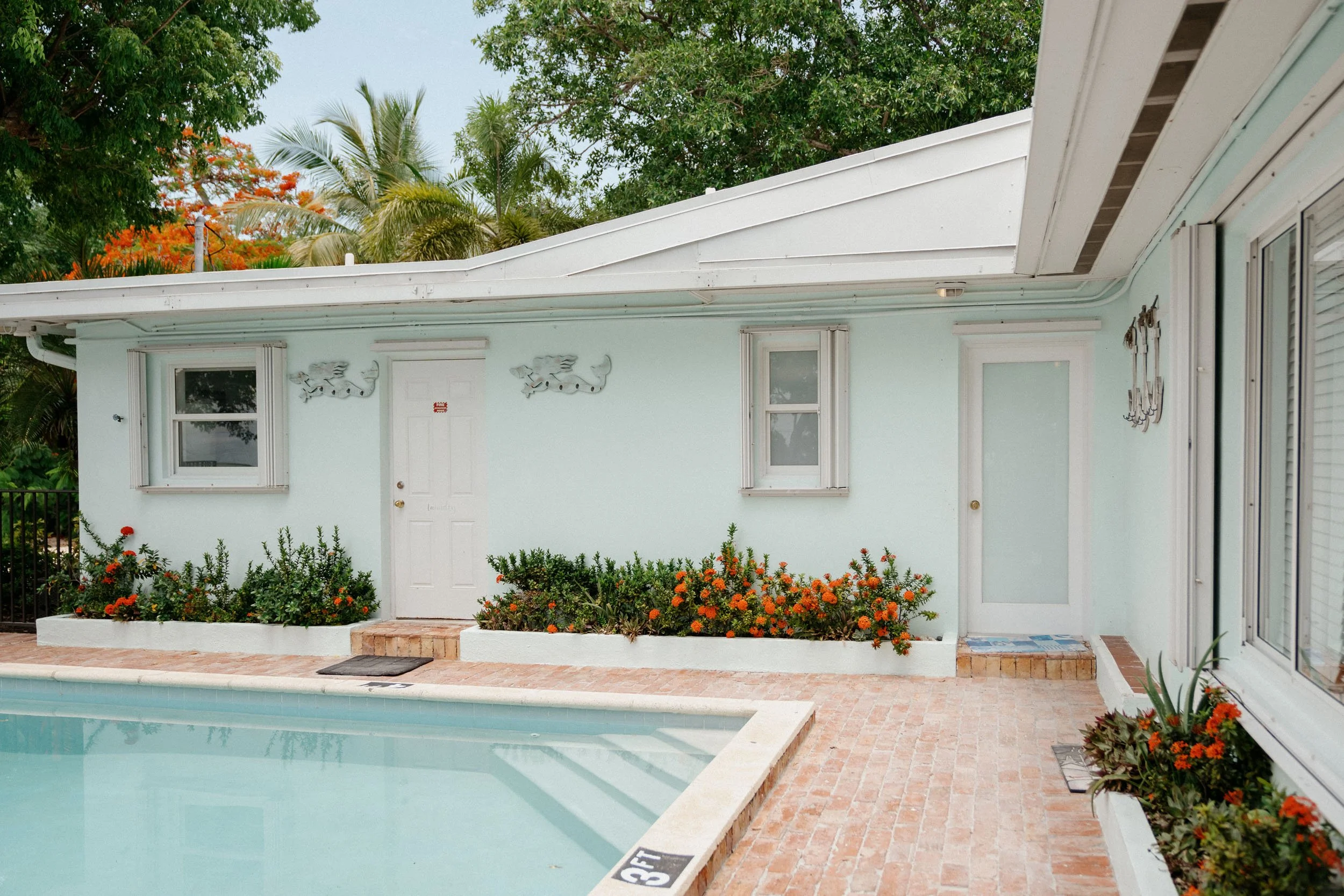 A backyard scene with a light blue house, a swimming pool in the foreground, brick patio, and vibrant orange flowers in planters. The house features white trim, windows, a door, and swimming pool depth markers.