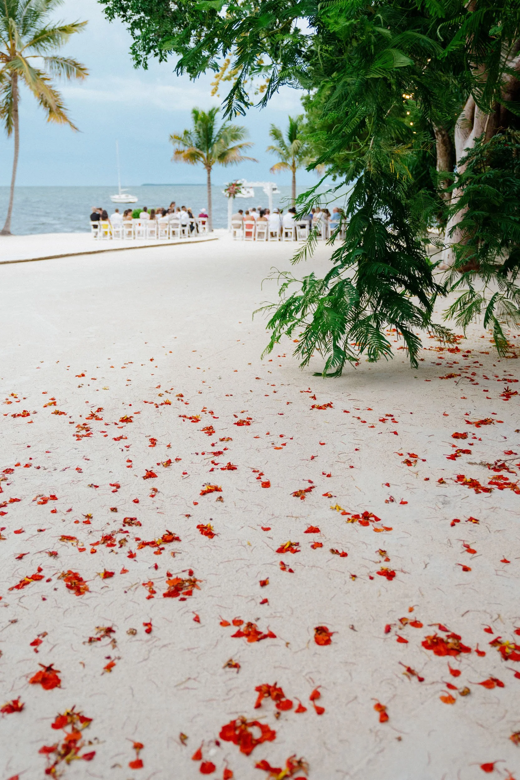 Beach scene with white sand, scattered red flowers, green foliage, palm trees, and people sitting at tables near the water, with boats in the distance.
