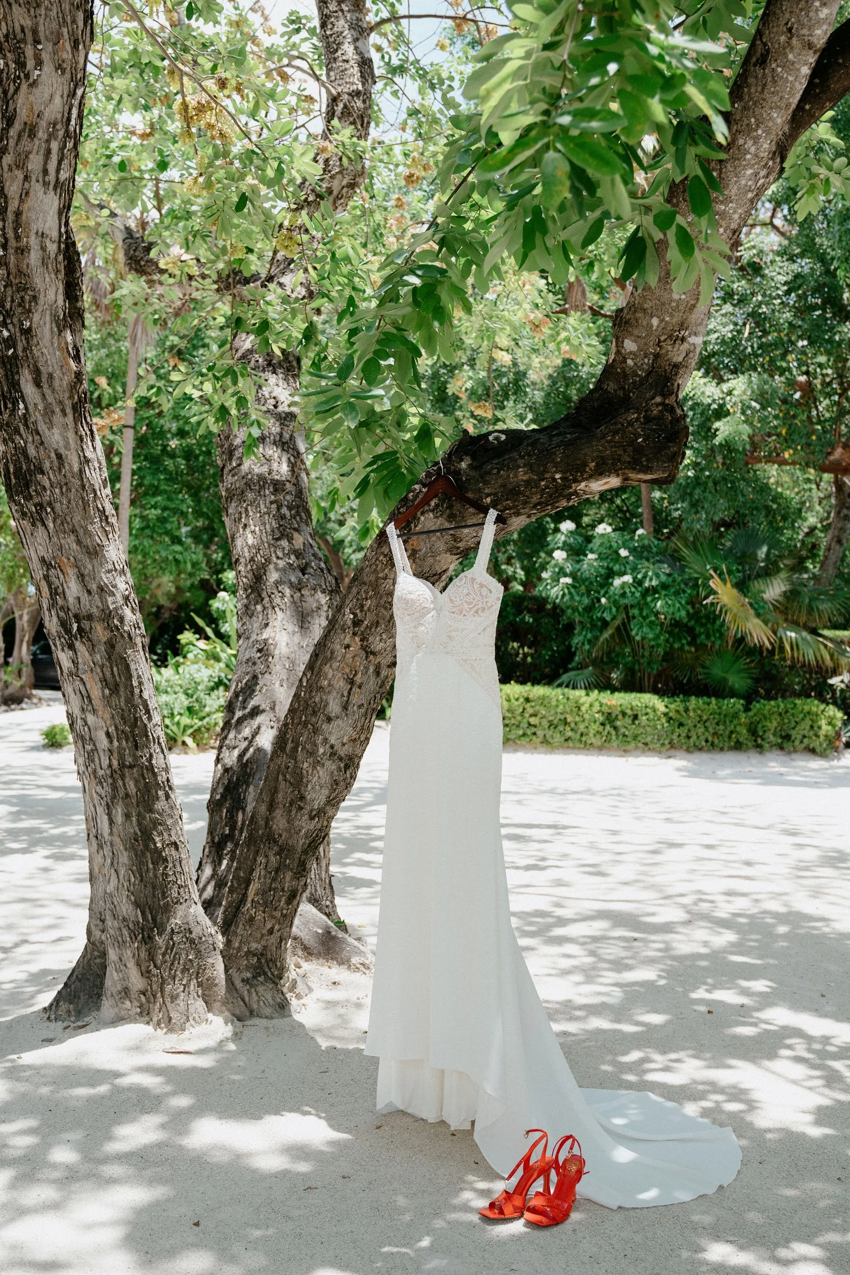 A white wedding dress hanging on a tree branch outdoors.
