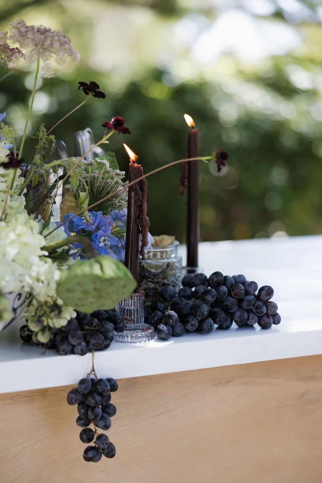 Heather Morgan Photography
