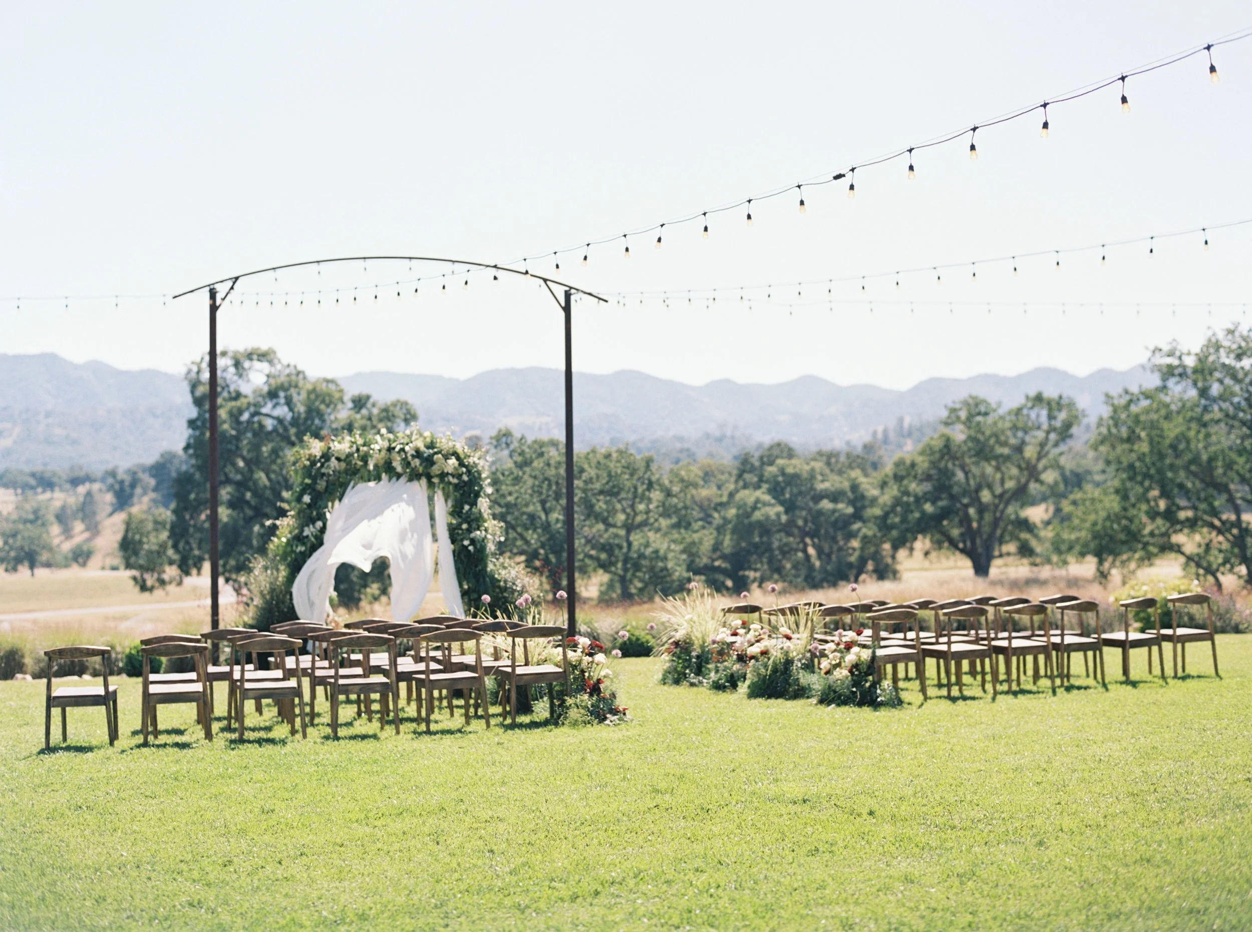 Danielle Honea Photography