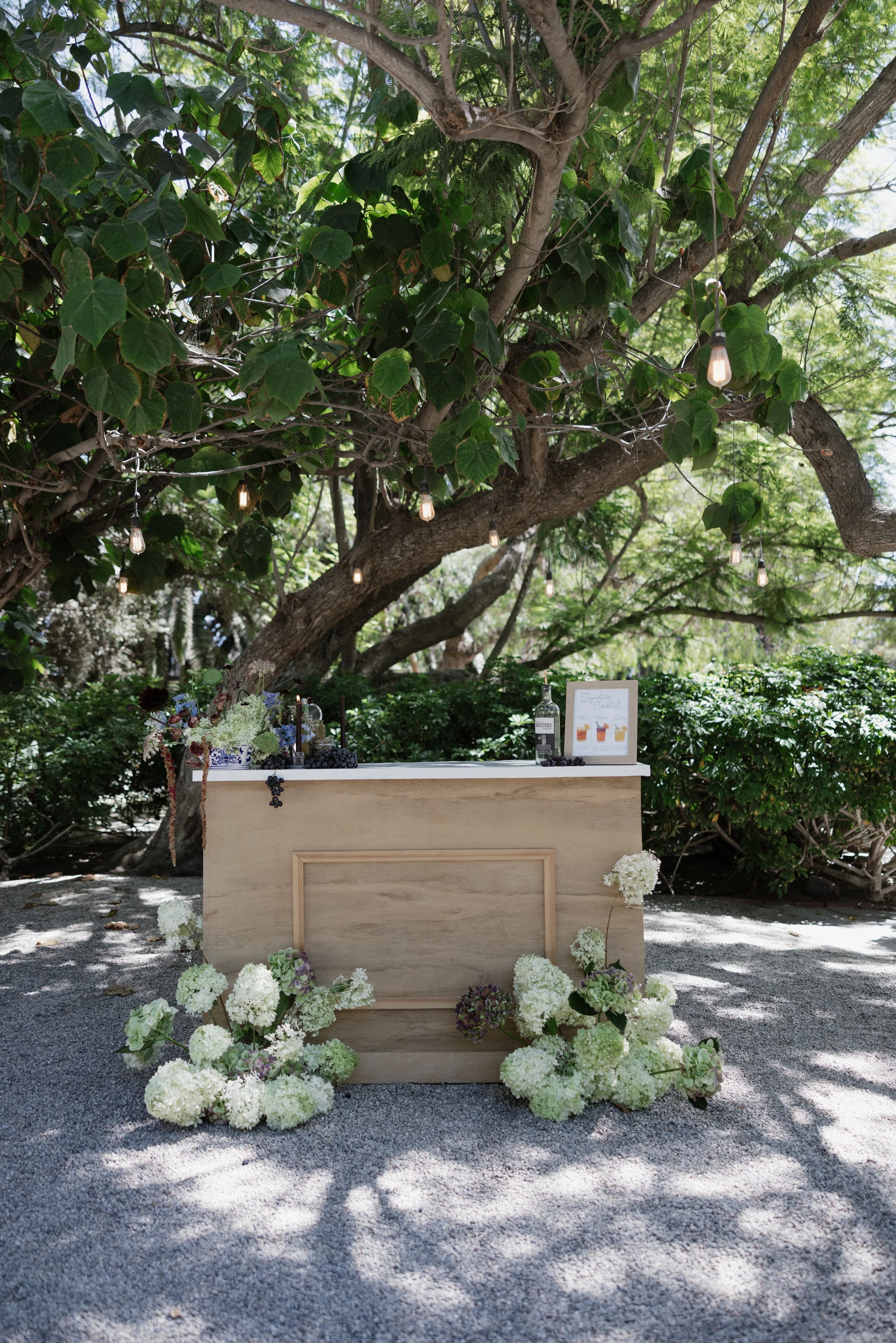 Heather Morgan Photography