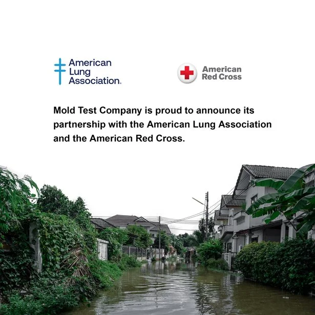 Mold Test Company partnership.jpg