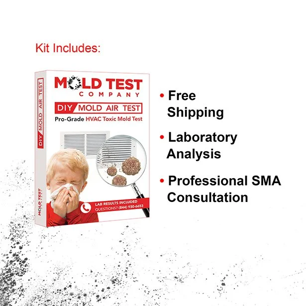 Mold Test Company included.jpg