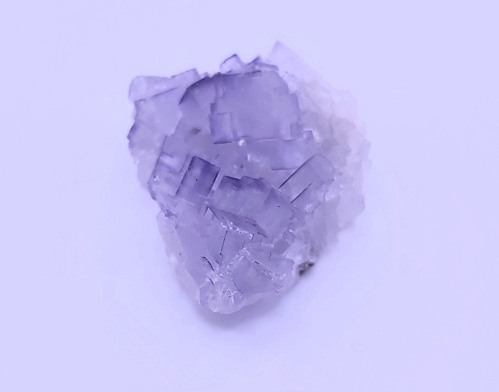 Muzquiz Fluorite