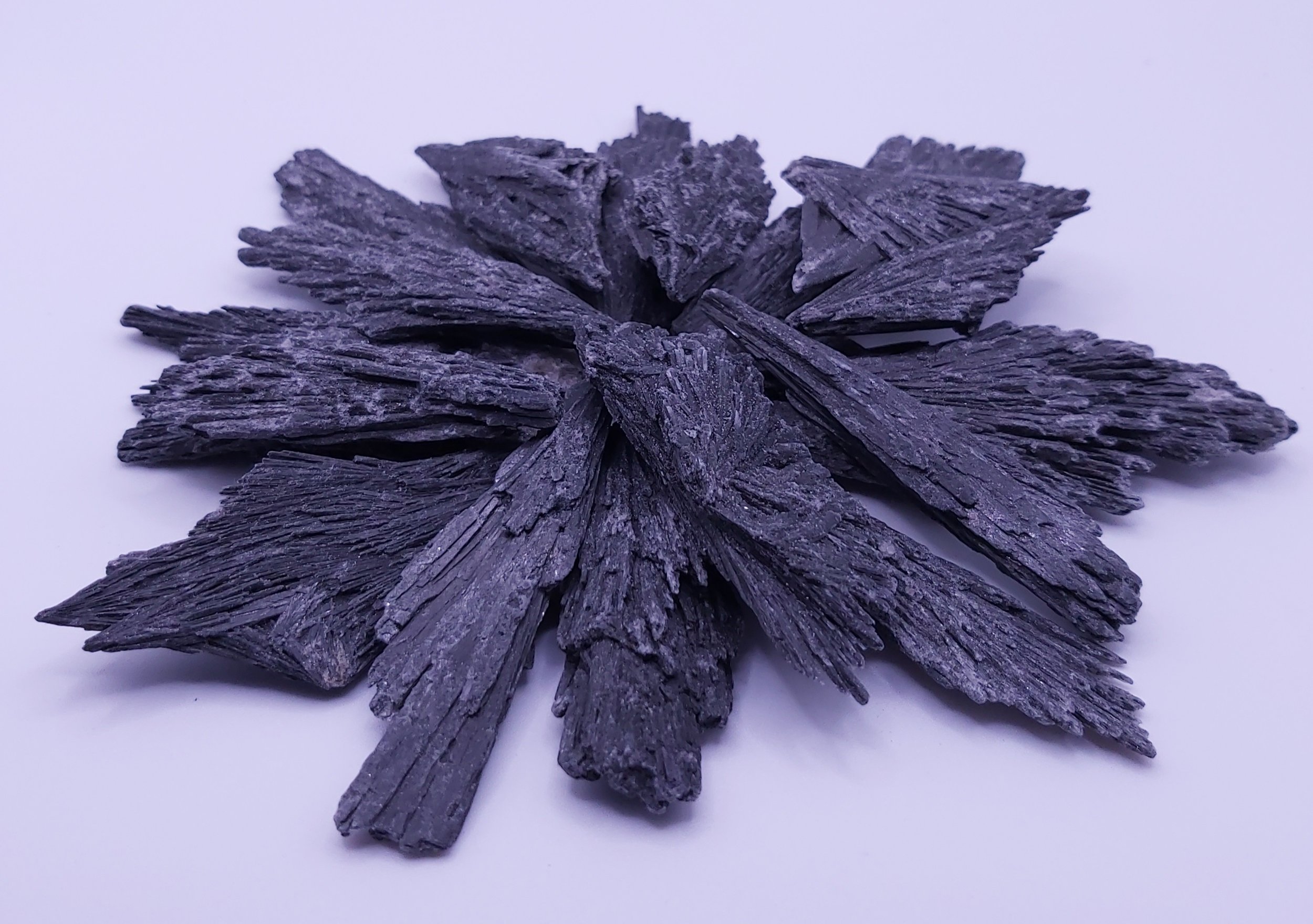 Black Kyanite Blades