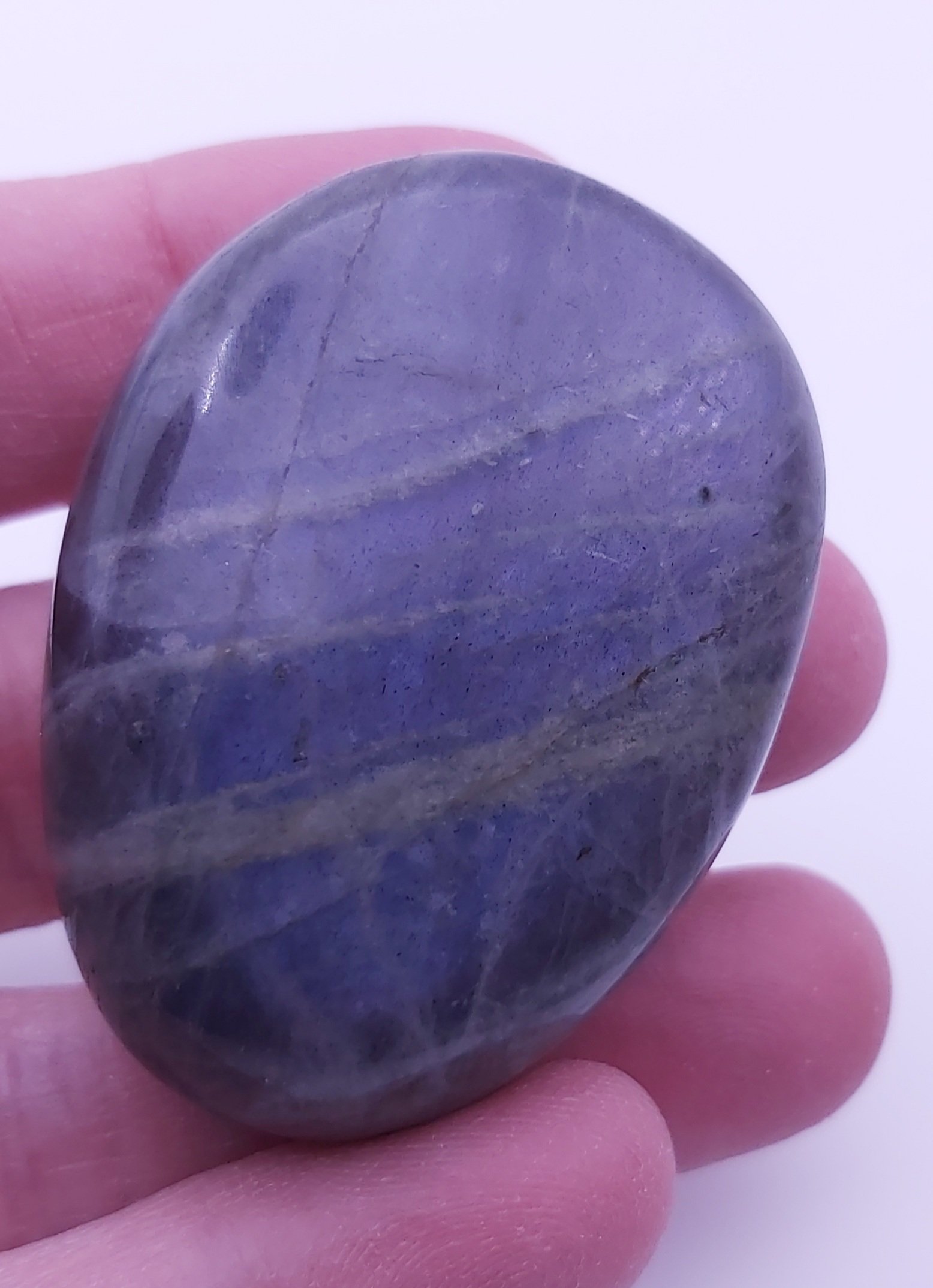 Labradorite Palm2.jpg