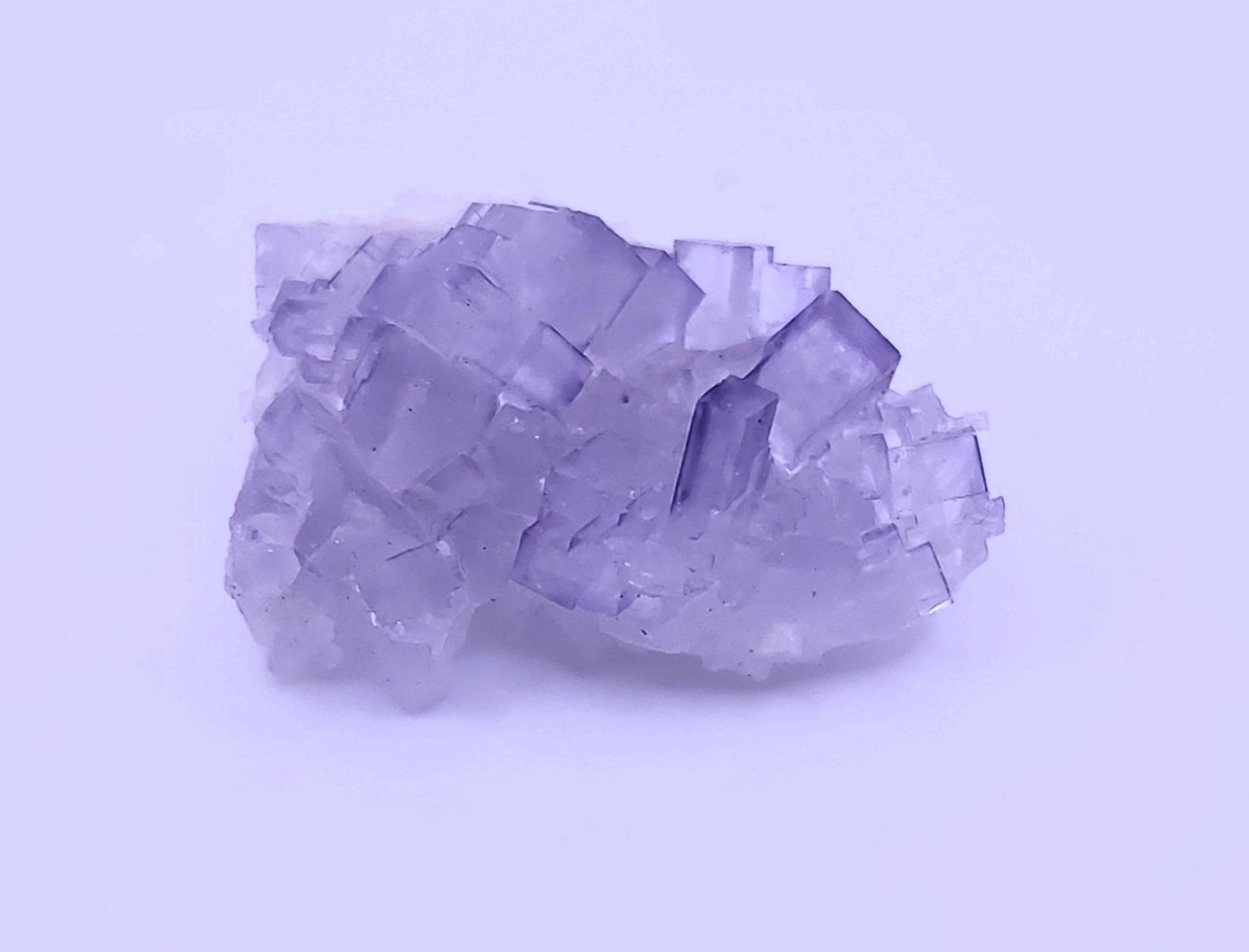 musquiz fluorite3.jpg