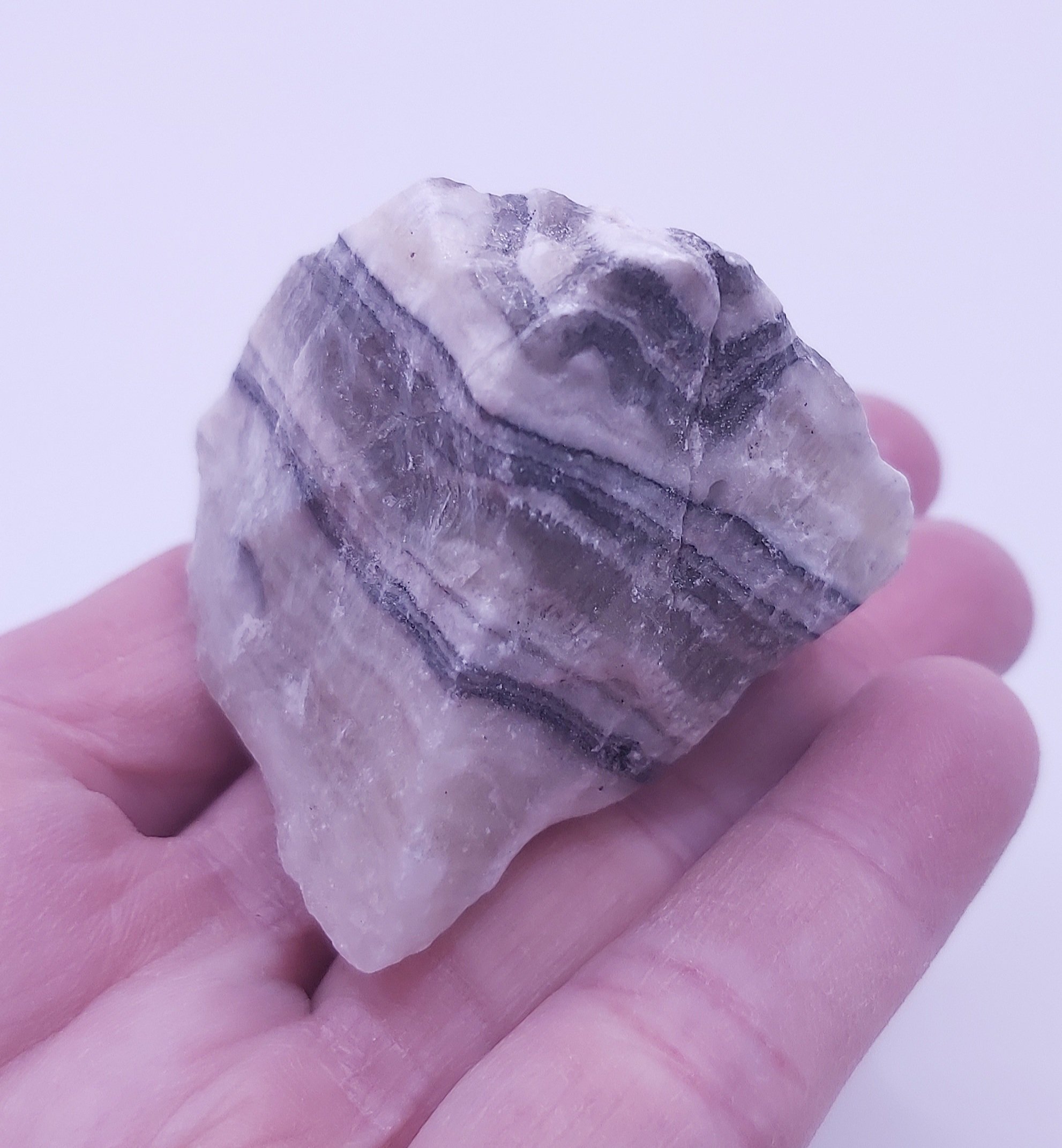 Zebra Onyx2.jpg