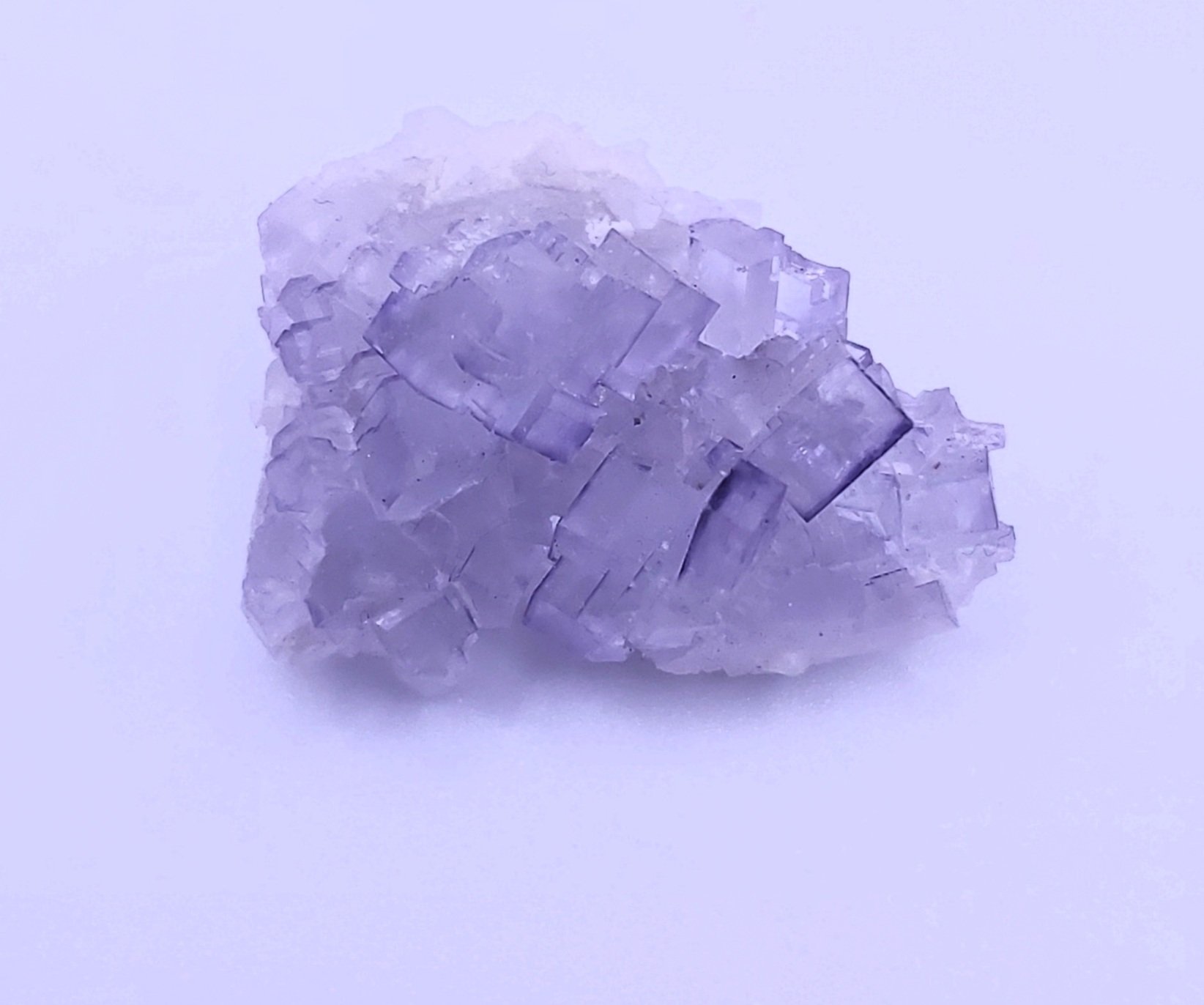 musquiz fluorite4.jpg