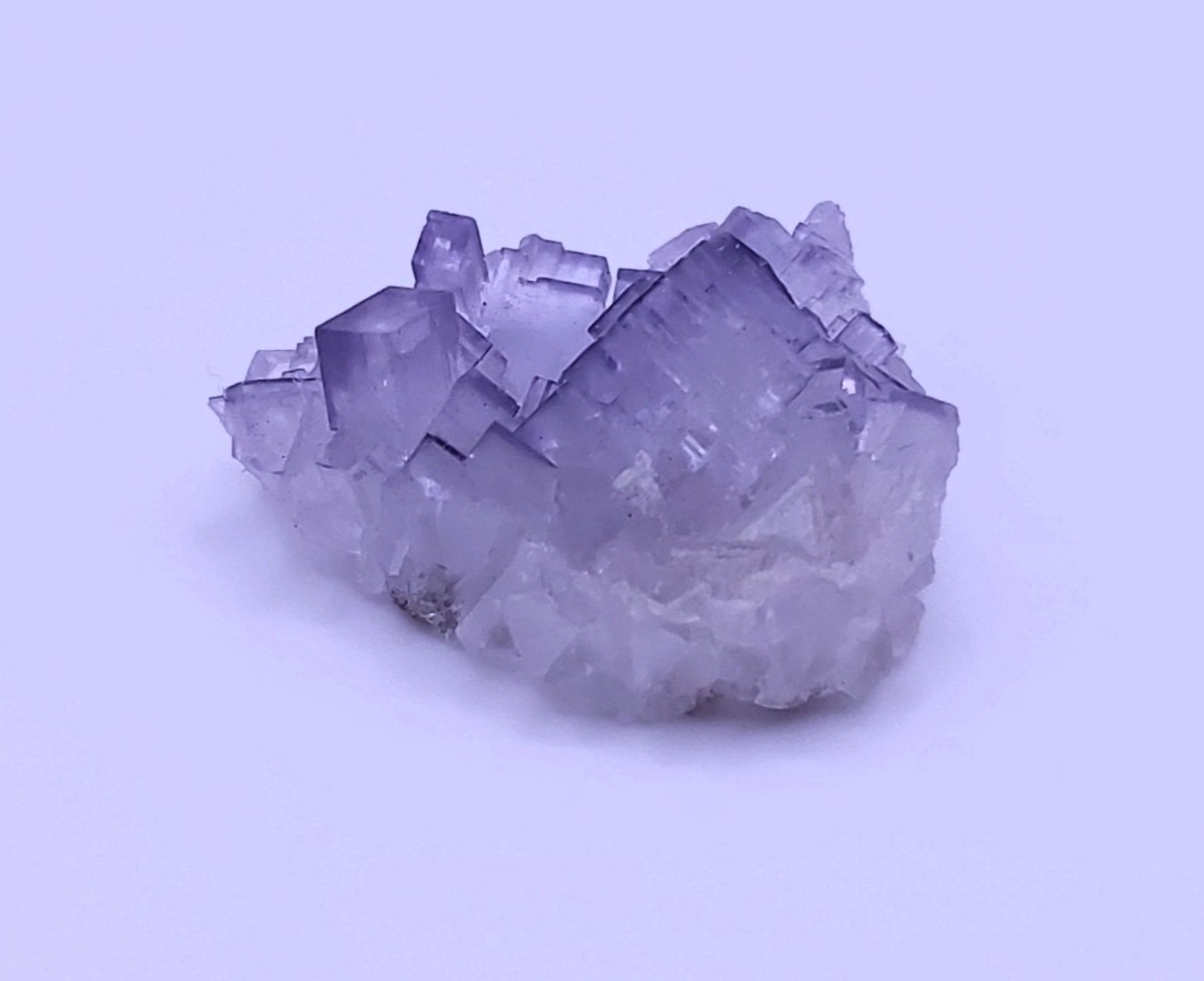 muzquiz fluorite1.jpg
