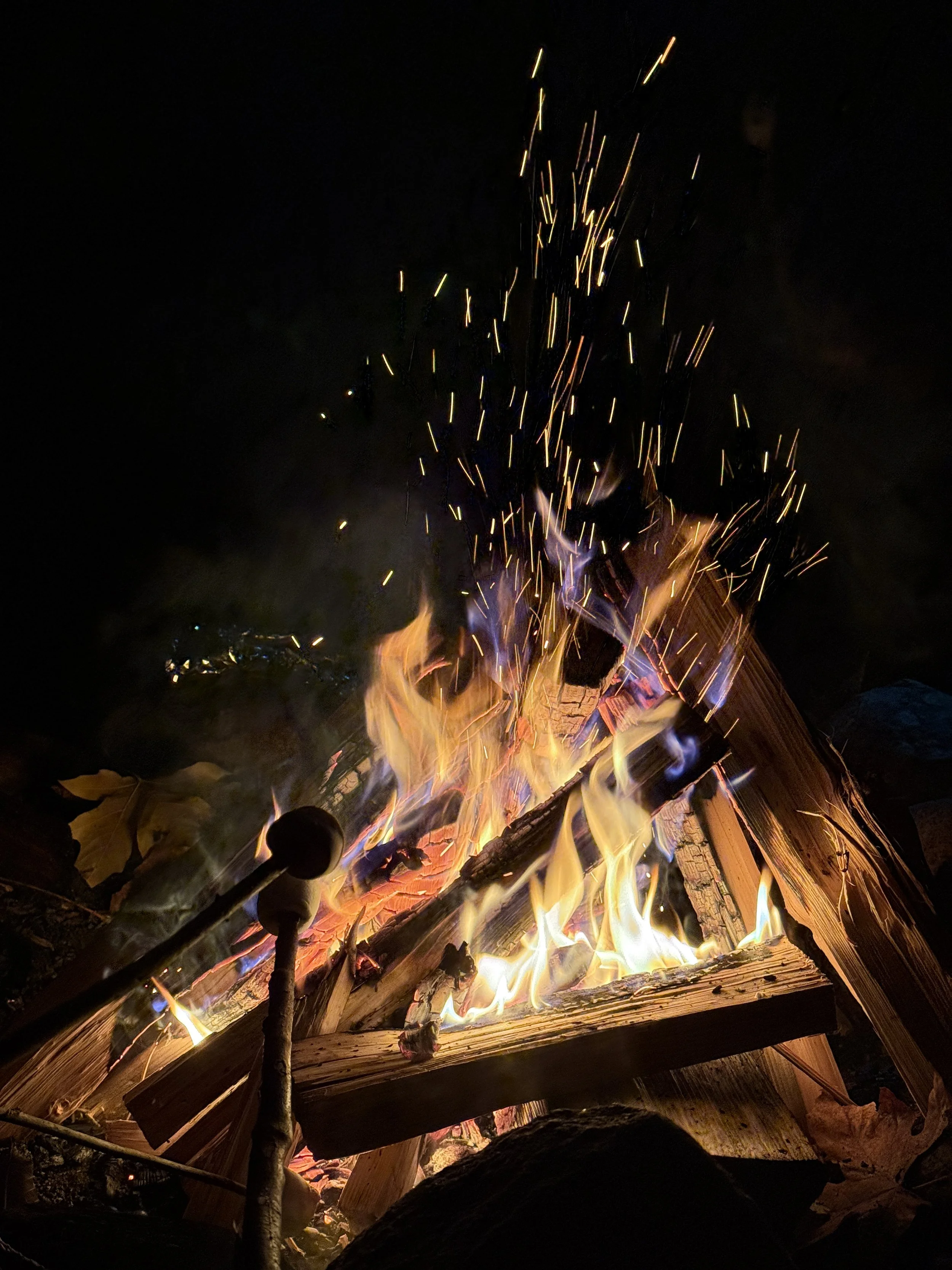 IMG_6627.jpeg