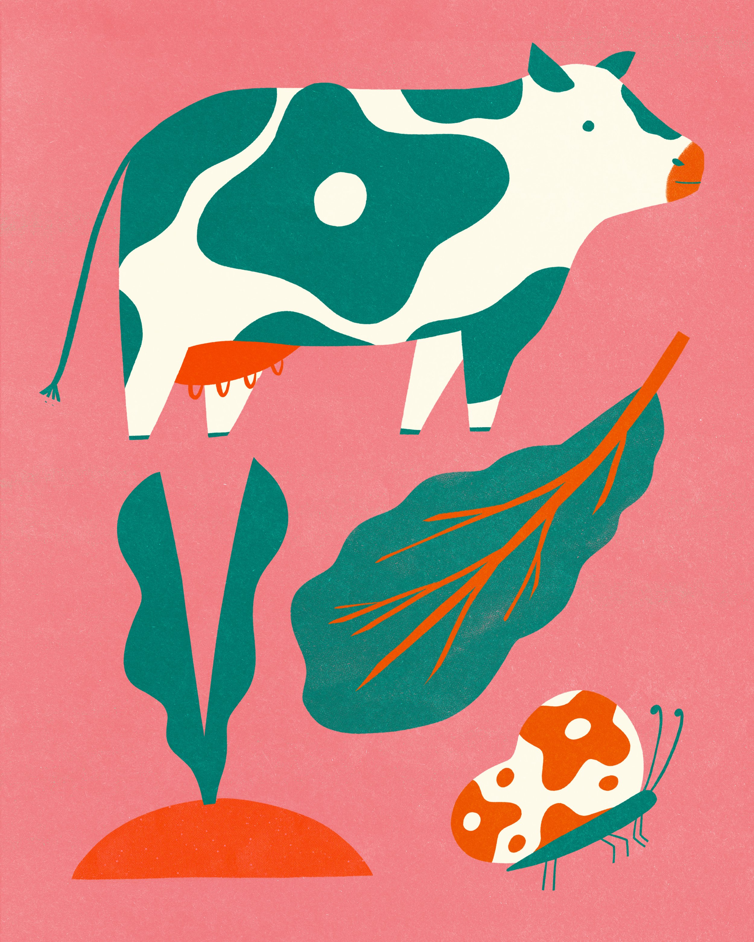 farmland-animals-farming-food-illustration-cow.jpg