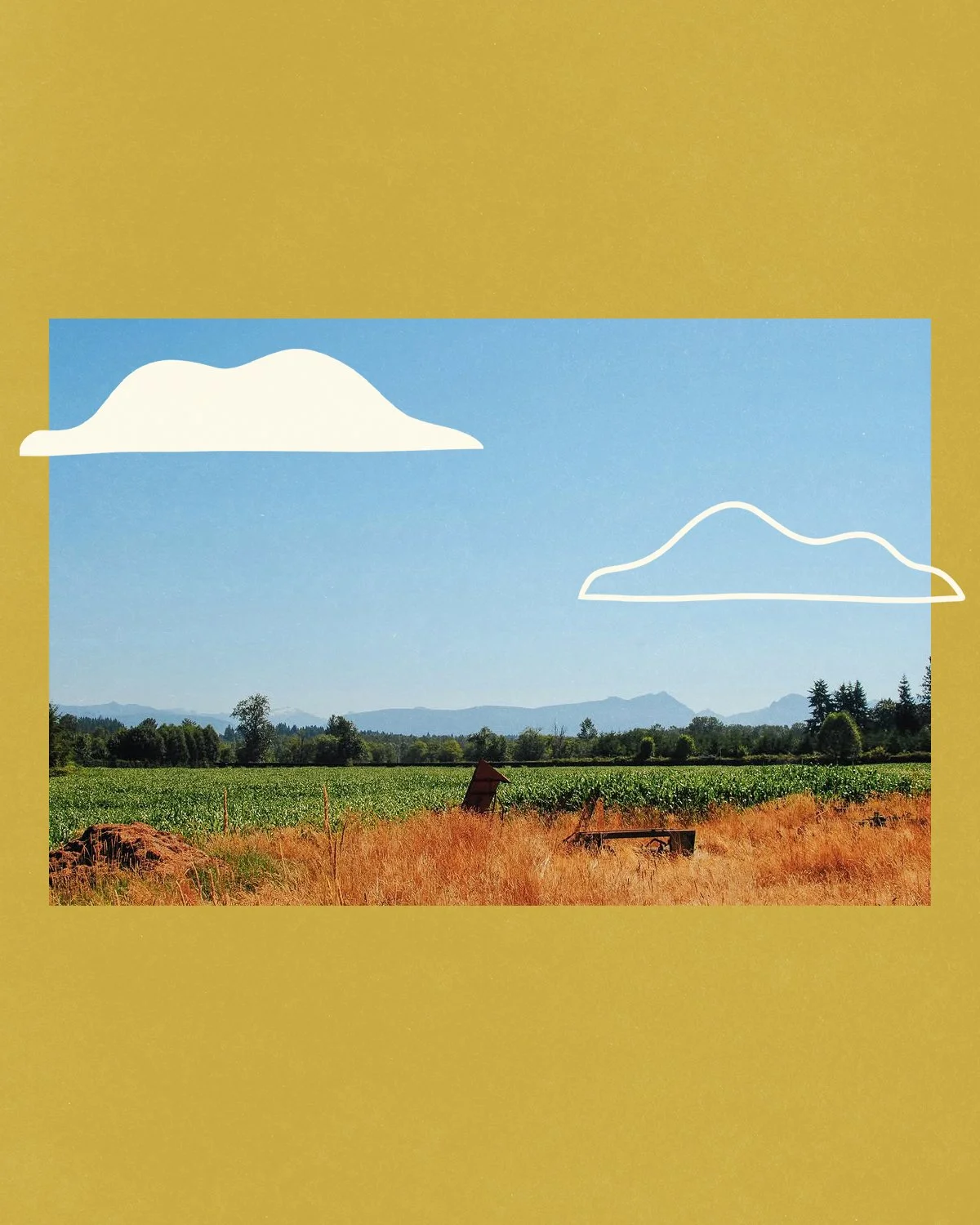 nature-animals-illustration-cloud.jpg