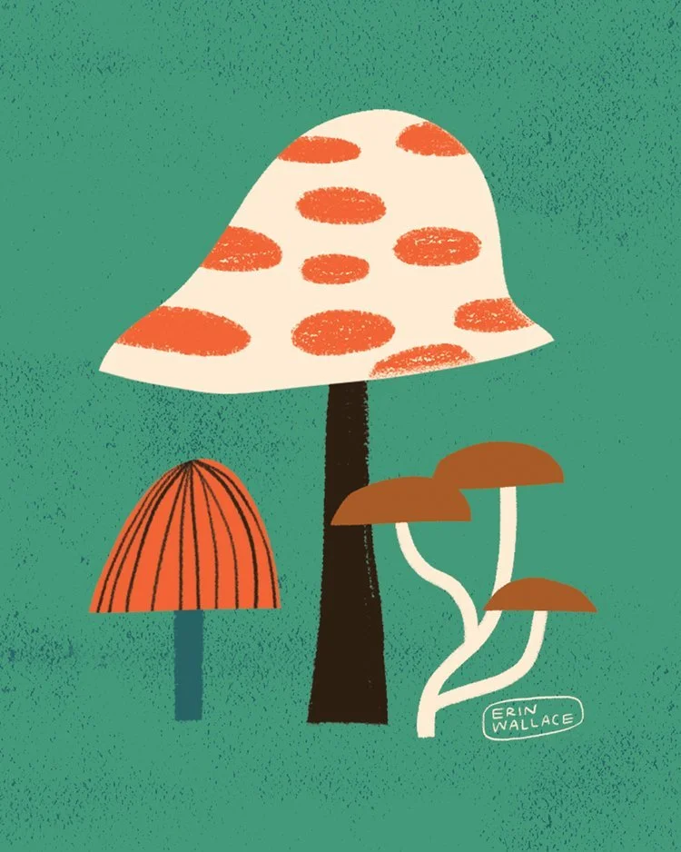 kids-illustration-school-mushroom-cute-reading-illustration-earlylit-activity-4.jpg