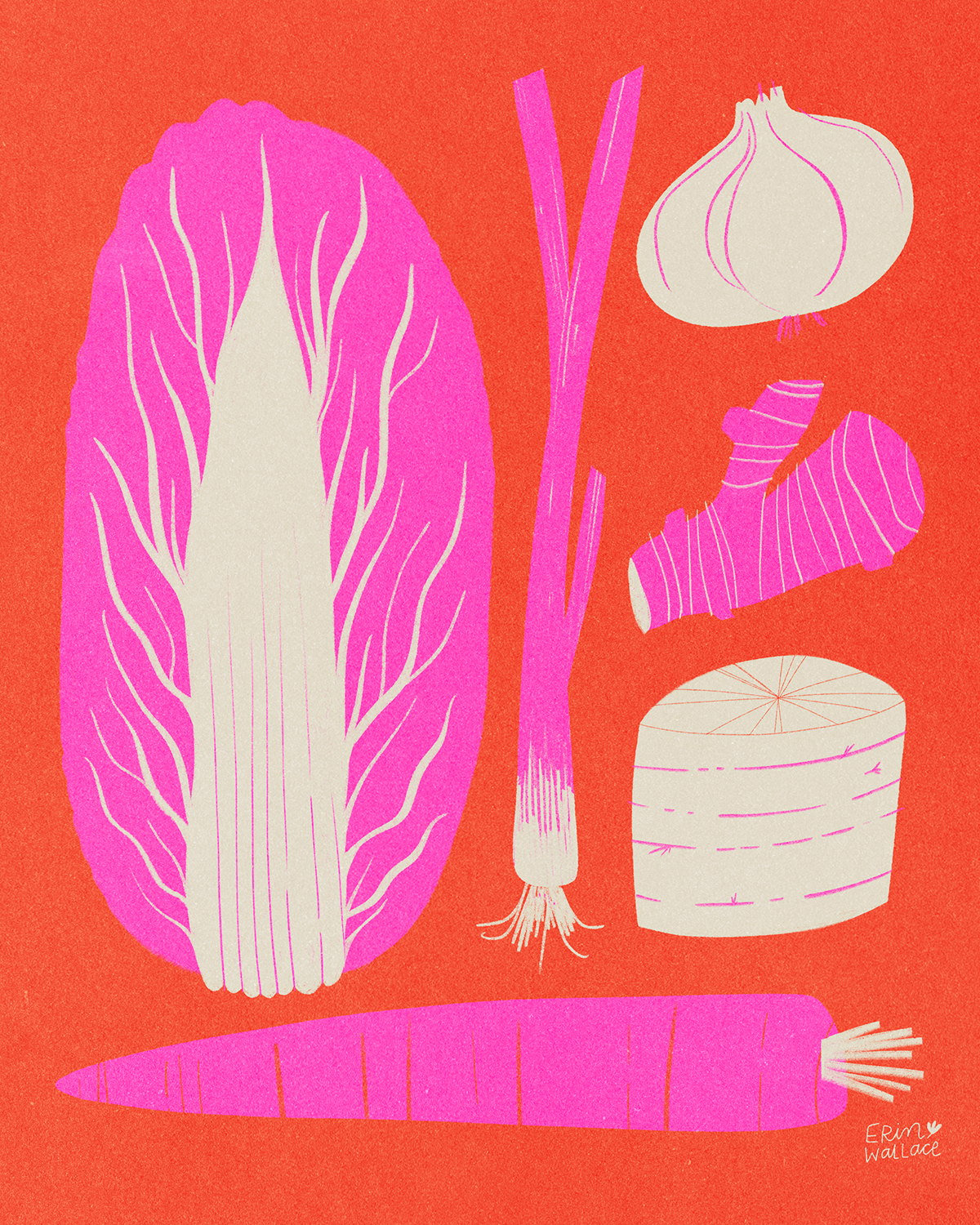 kimchi-veggies-food-recipe-illustration-art.jpg