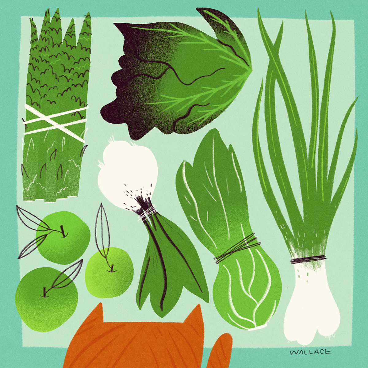 seasonal-cat-csa-organic-veggies-illustration.png