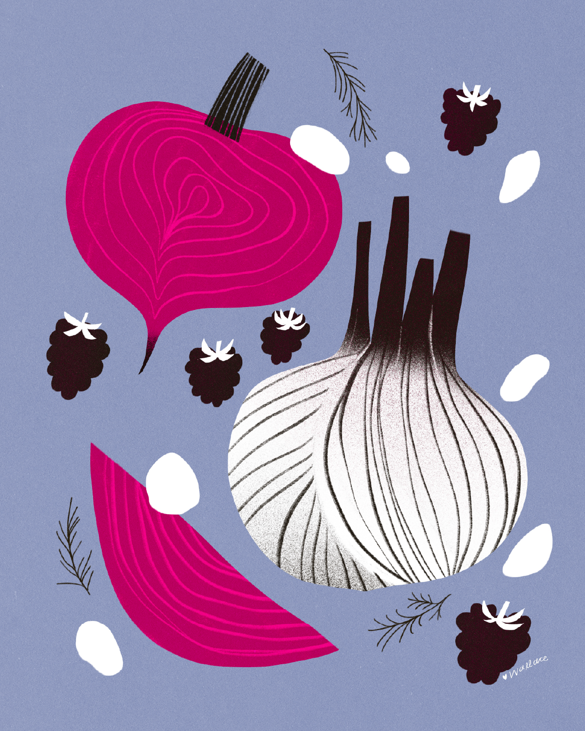 blackberries-food-recipe-illustration.png