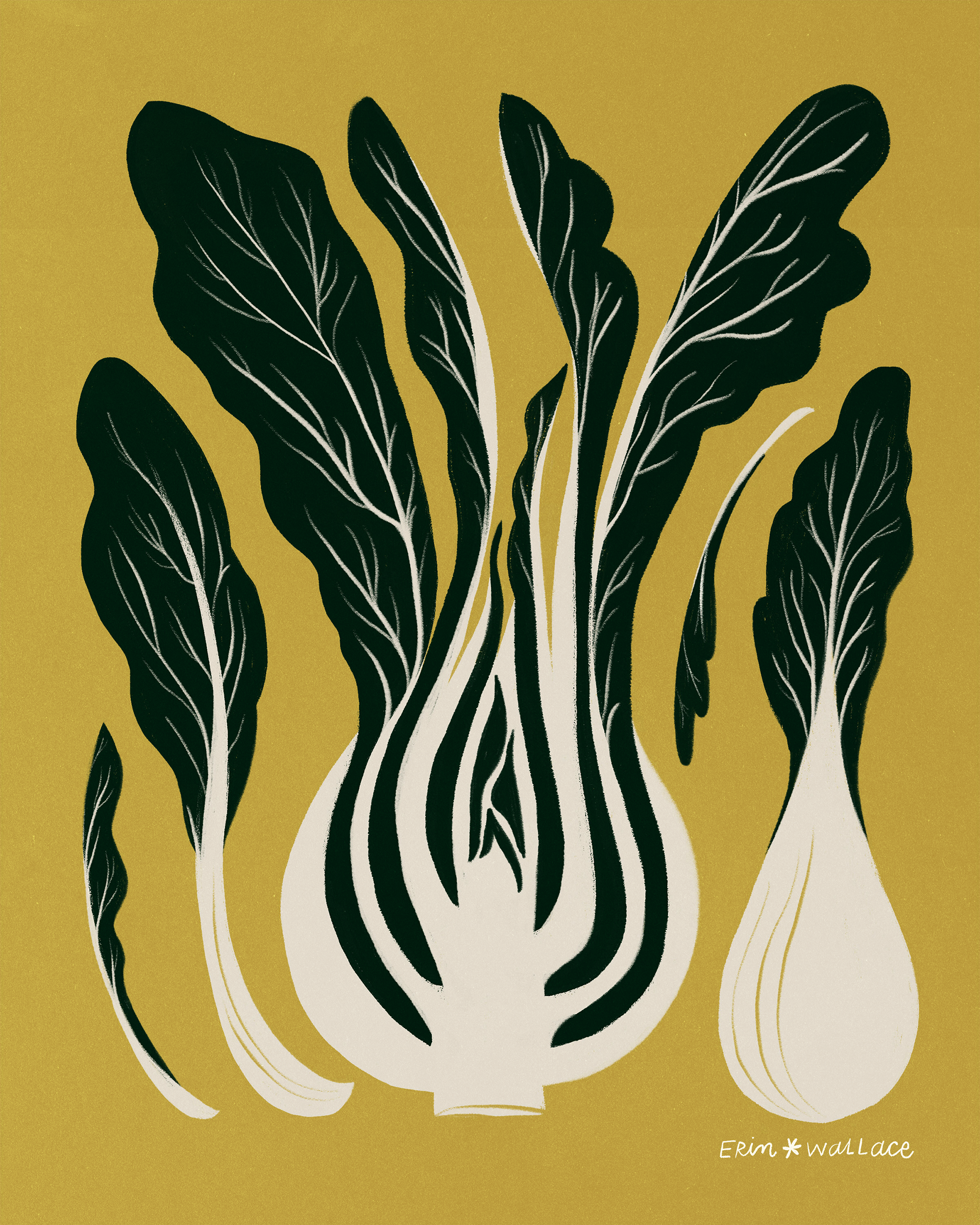 bokchoy-asian-veggies-food-recipe-illustration.png