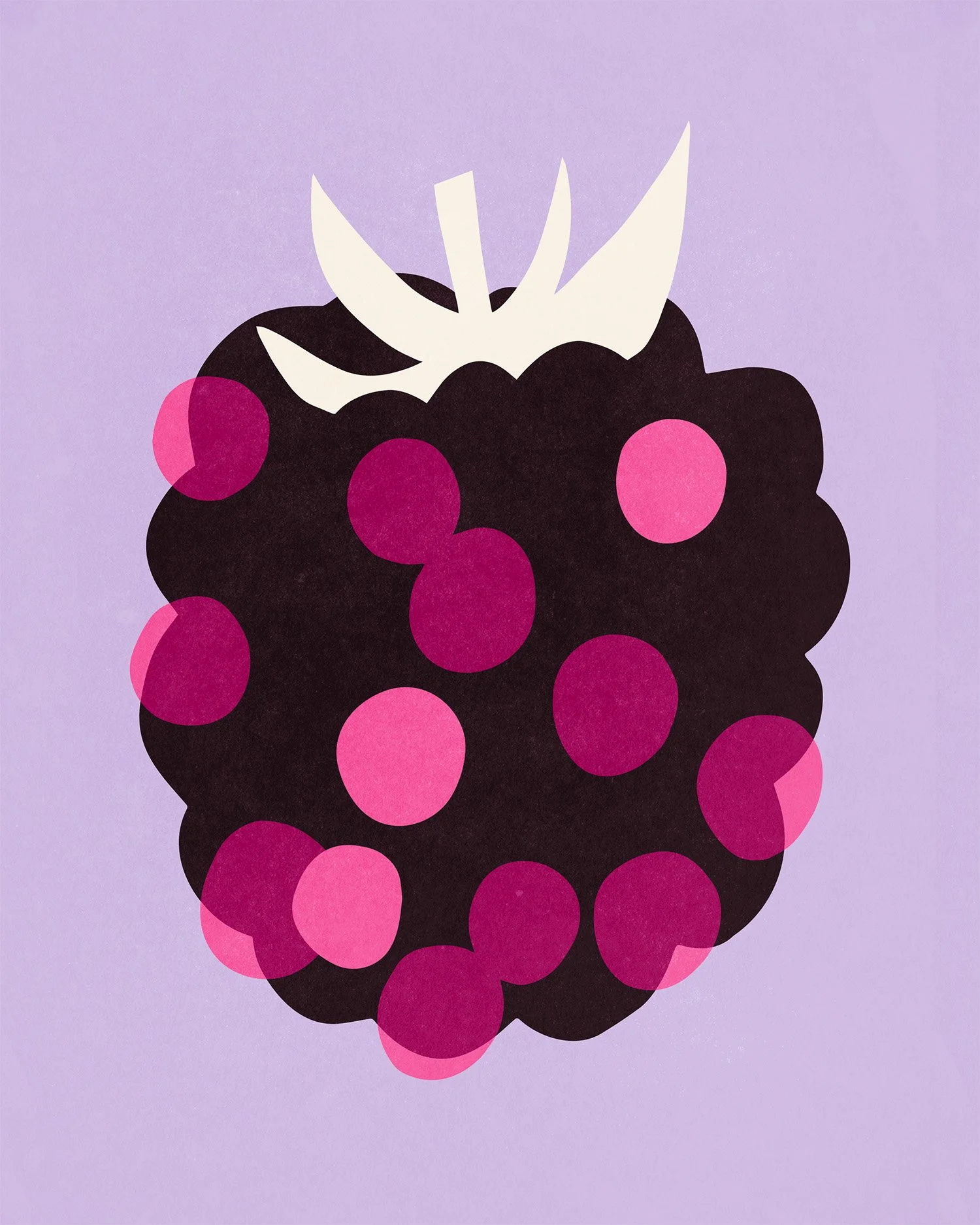 molly-moons-seattle-blackberry-bramble-fruit-illustration-icecream-1.jpg