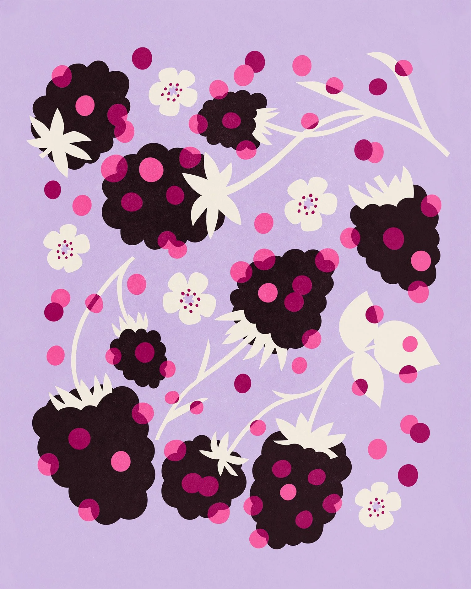 molly-moons-seattle-blackberry-fruit-illustration-icecream-2.jpg