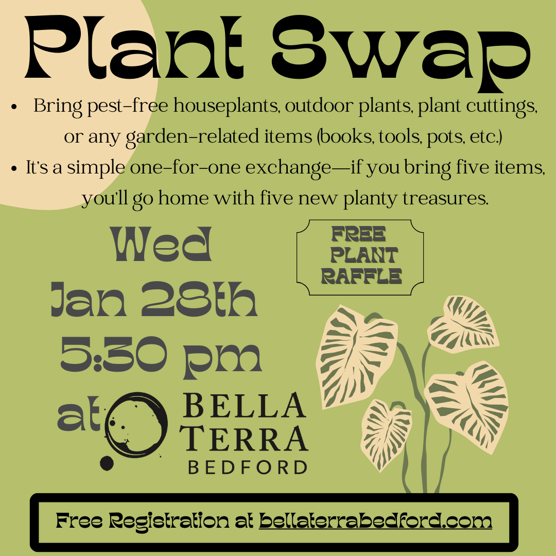 Plant Swap