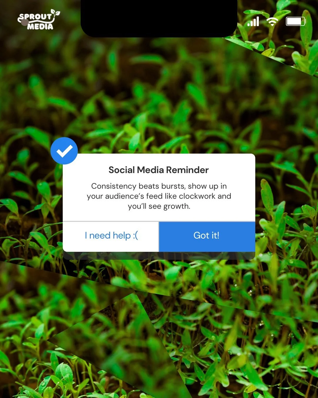 Struggling to stay consistent on social media? ⏰
The brands that win are the ones that show up, day after day, week after week.
At Sprout Media, we help businesses turn scattered posting into a steady stream of content that actually grows your audie